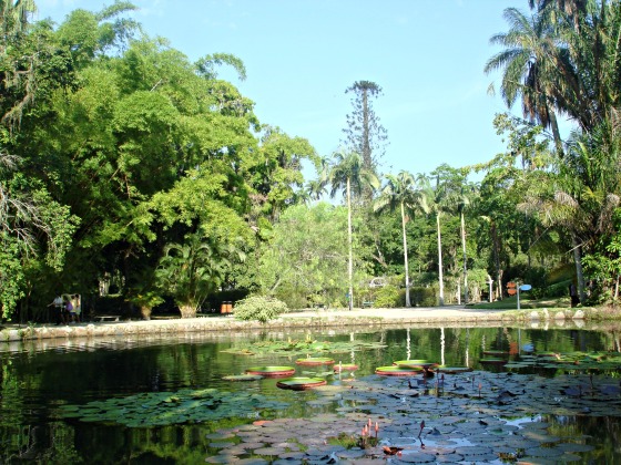 Jardim Botânico Rio de Janeiro 